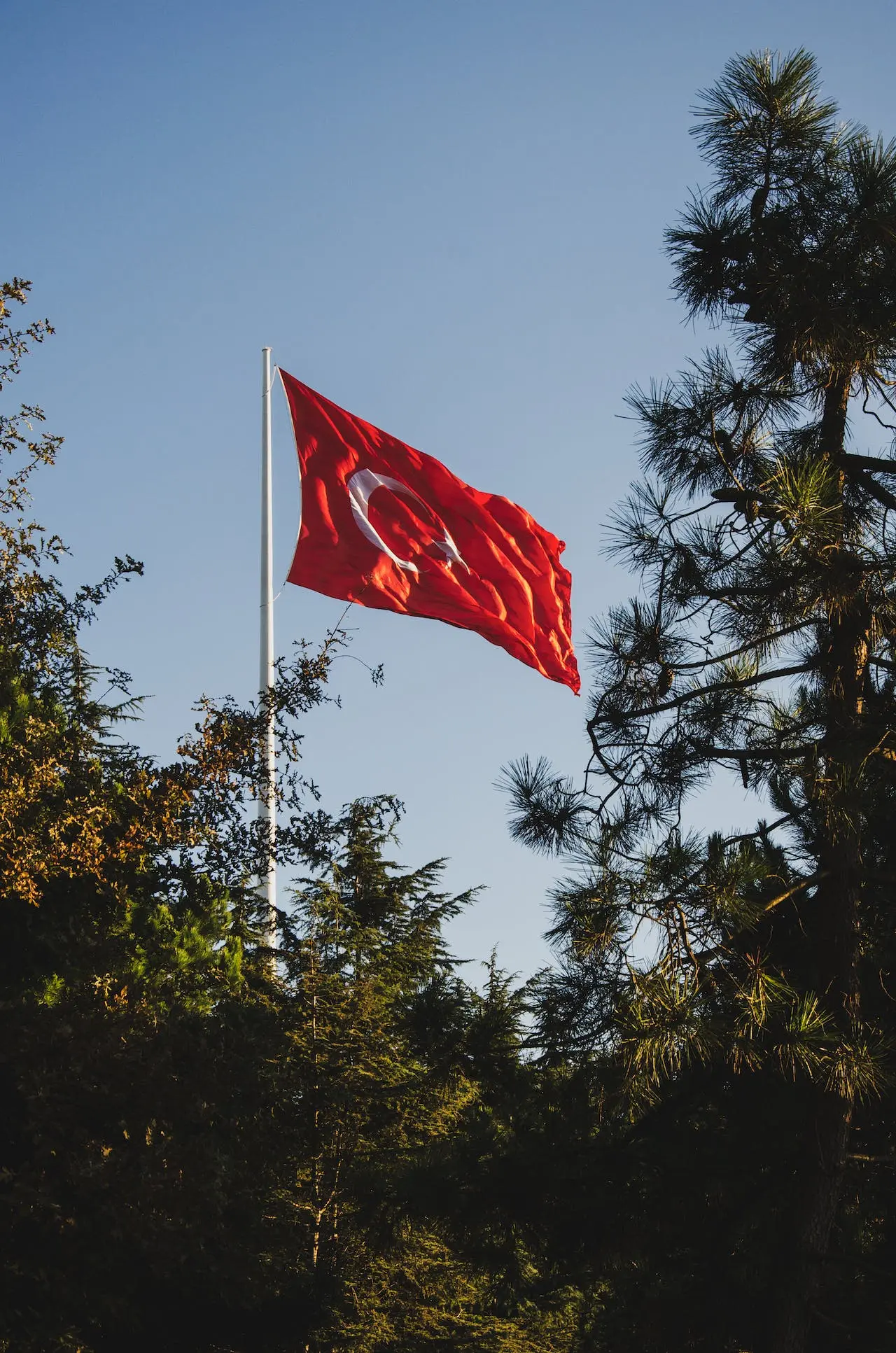 Turkish Flag view above trees